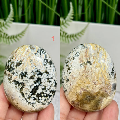 Bubble Ocean Sea Orbicular Jasper Palm Stones Worry Crystals YOU CHOOSE