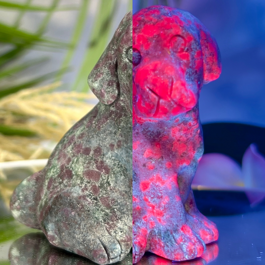 Ruby in Kyanite Zoisite Dog Labrador Puppy Animal UV Reactive Crystal 310g