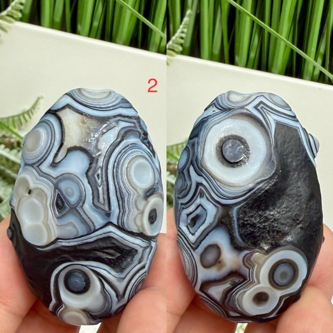 Gobi Desert Agate Palm Stones RARE Meditation Crystals YOU CHOOSE