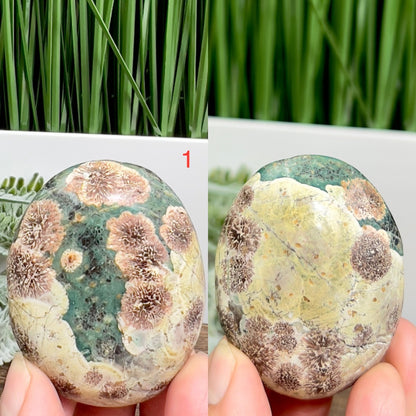 Russian Flower Cherry Blossom Jasper Palm Stone Crystals YOU CHOOSE