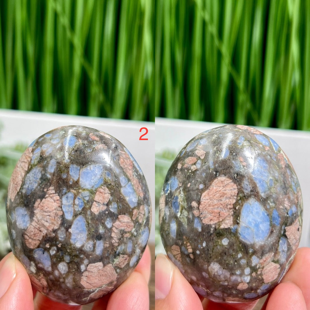 Llanite Jasper Que Sera Palm Stones Worry Crystals YOU CHOOSE