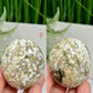 Bubble Ocean Sea Orbicular Jasper Palm Stones Worry Crystals YOU CHOOSE