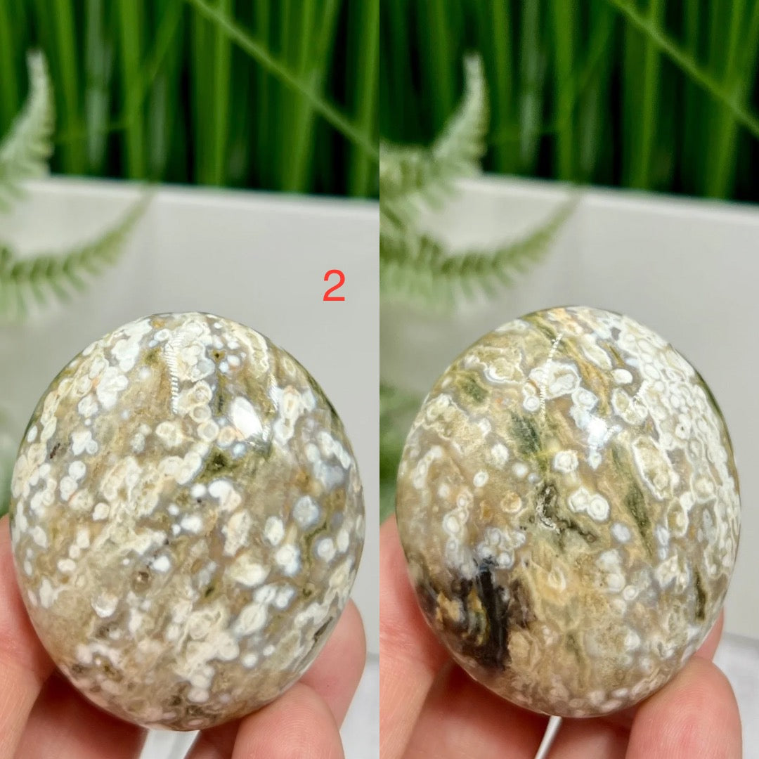 Bubble Ocean Sea Orbicular Jasper Palm Stones Worry Crystals YOU CHOOSE