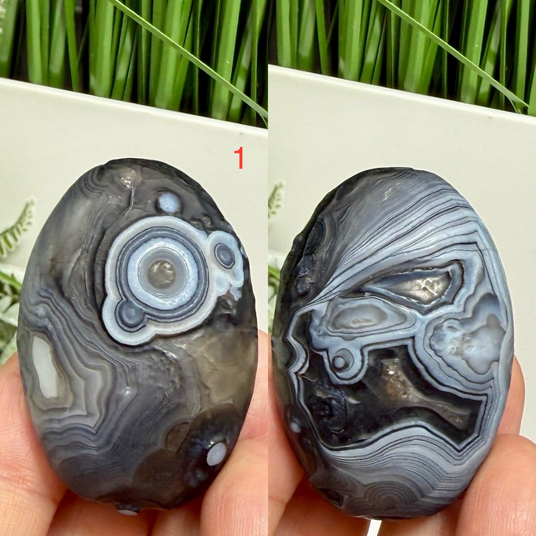 Gobi Desert Agate Palm Stones RARE Meditation Crystals YOU CHOOSE