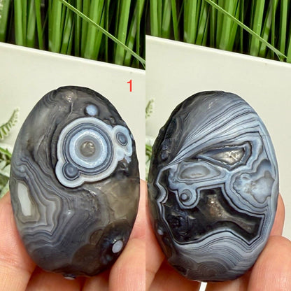 Gobi Desert Agate Palm Stones RARE Meditation Crystals YOU CHOOSE