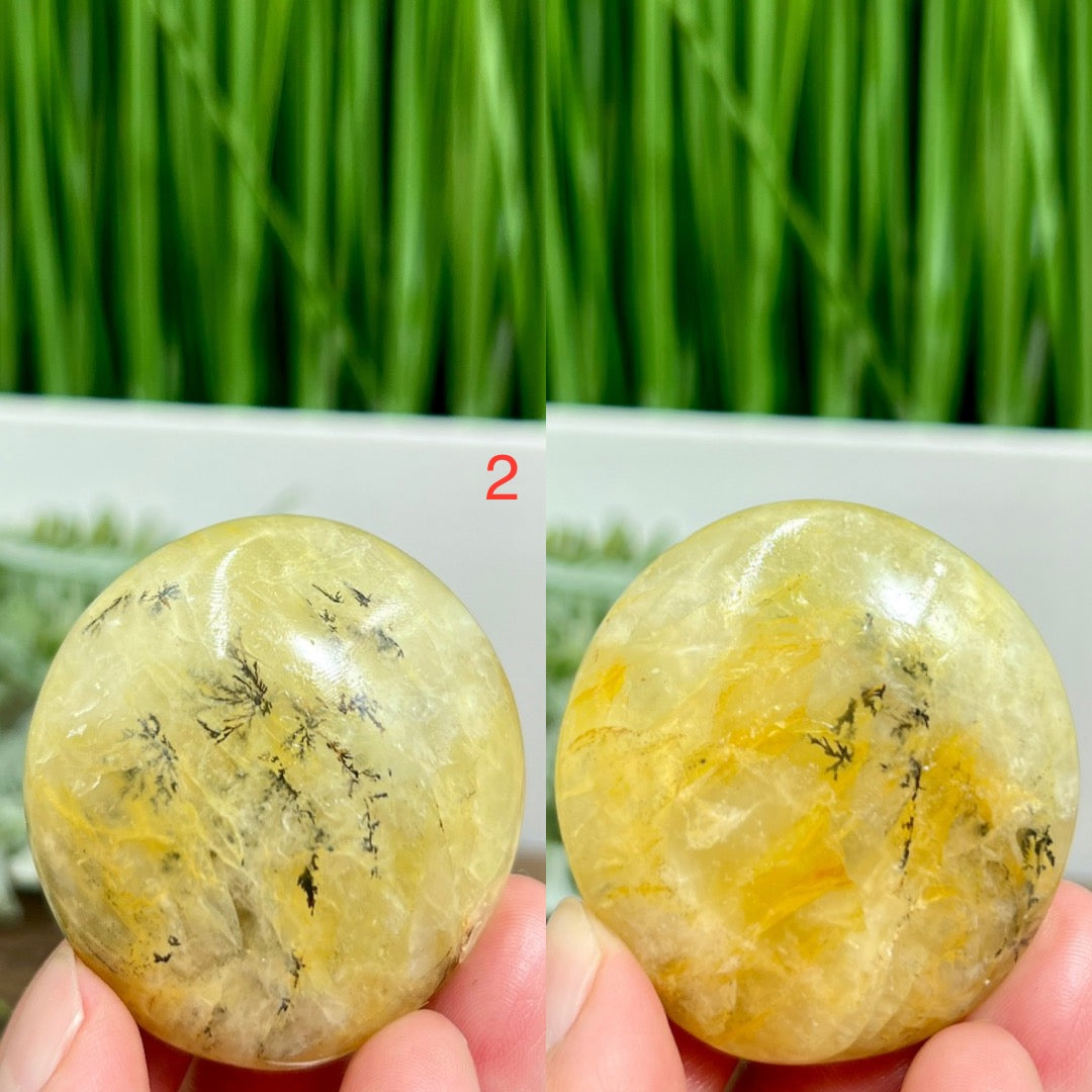 Dendritic Golden Healer Quartz Palm Stones Worry Crystals YOU CHOOSE