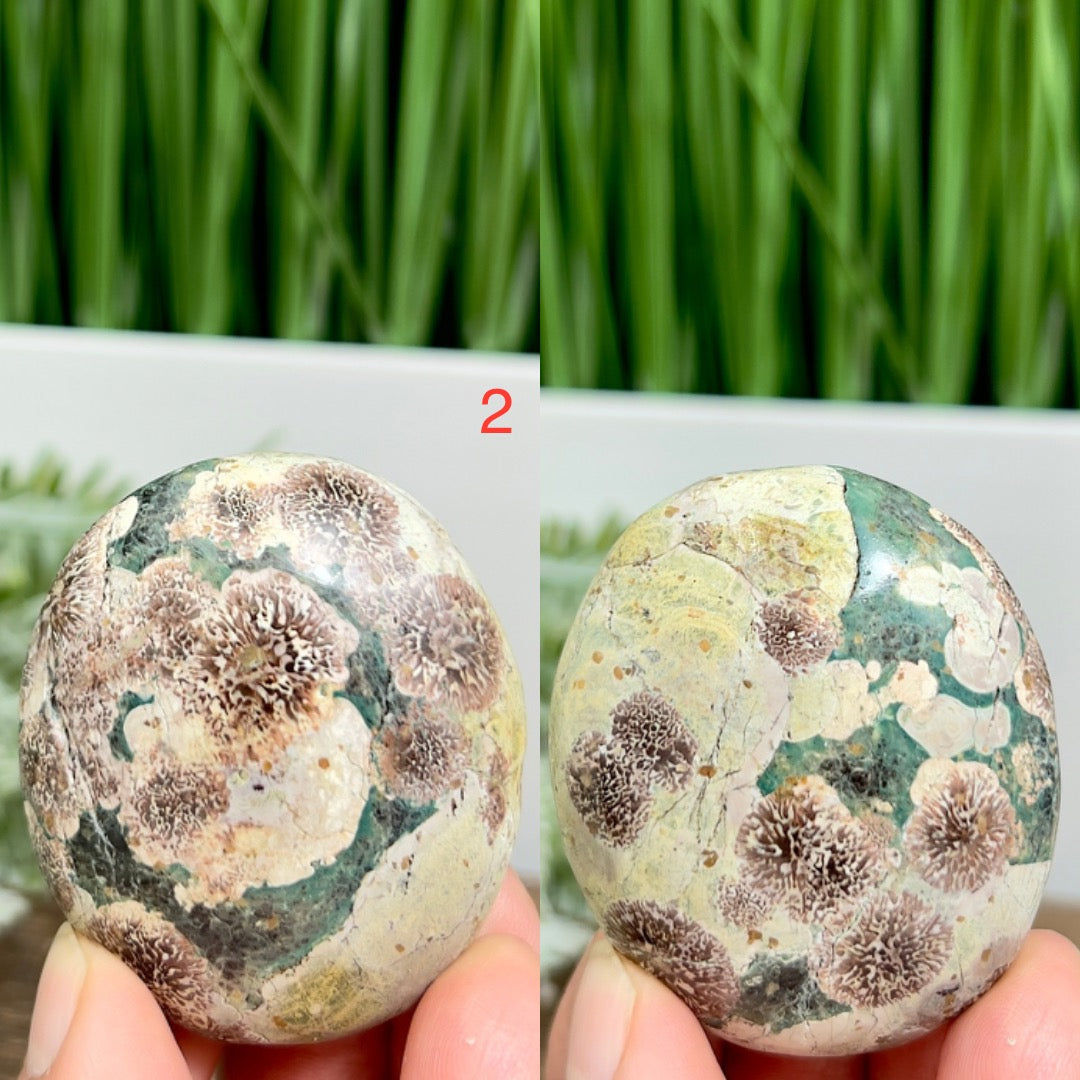 Russian Flower Cherry Blossom Jasper Palm Stone Crystals YOU CHOOSE