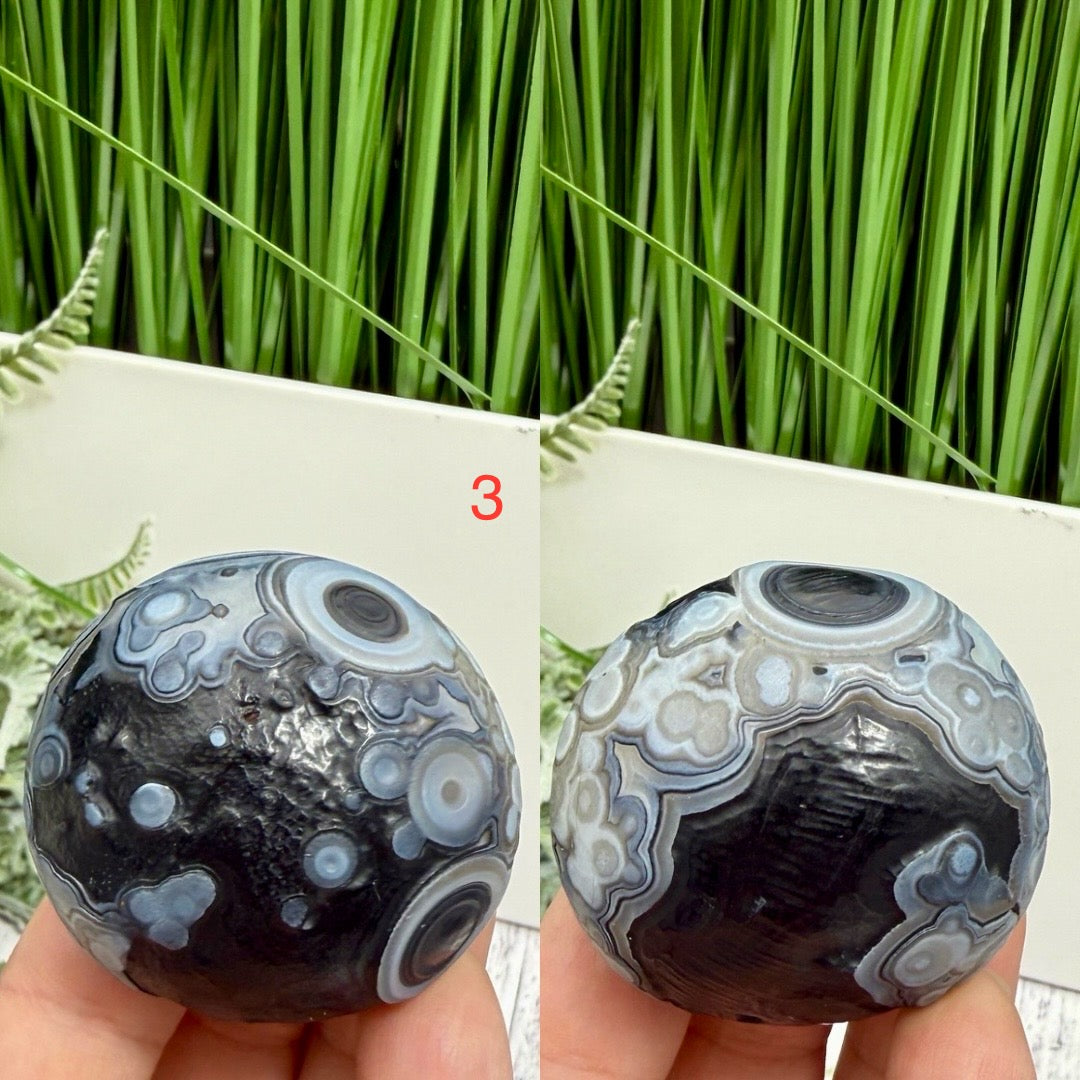 Gobi Desert Agate Palm Stones RARE Meditation Crystals YOU CHOOSE