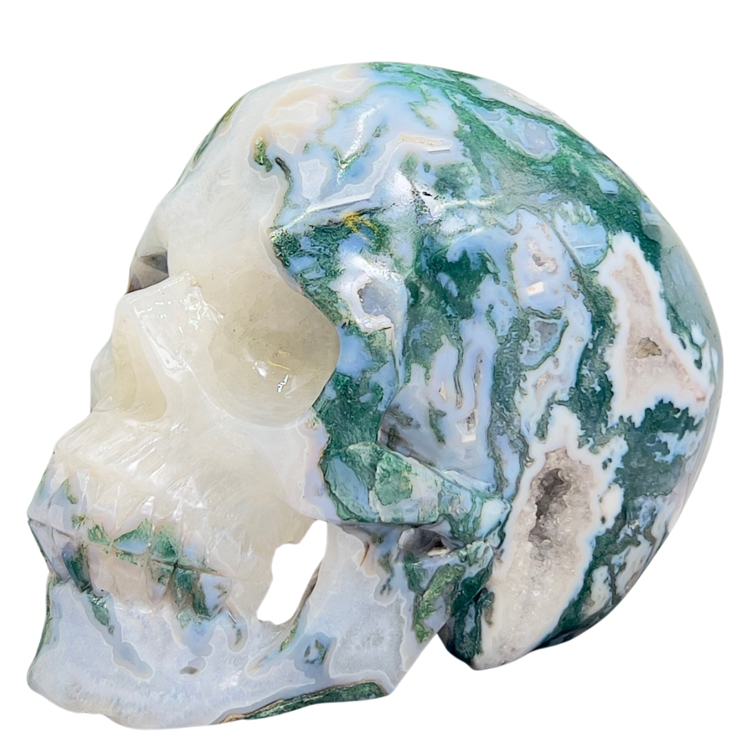 Moss Agate Druzy Hollow Jaw Skull Extra Large Healing Crystal Carving 2982g