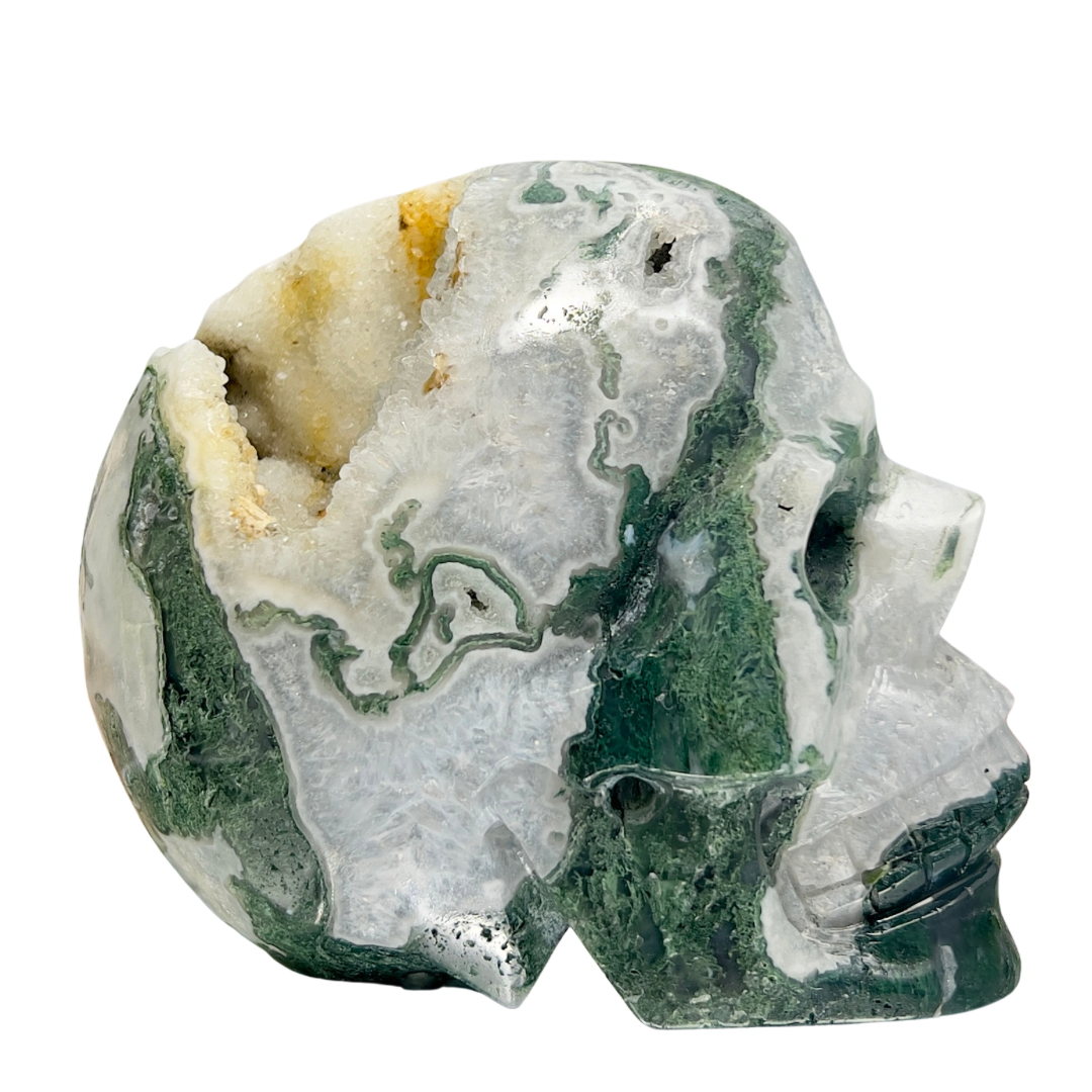 Moss Agate Druzy Skull Healing Crystal Carving 1218g