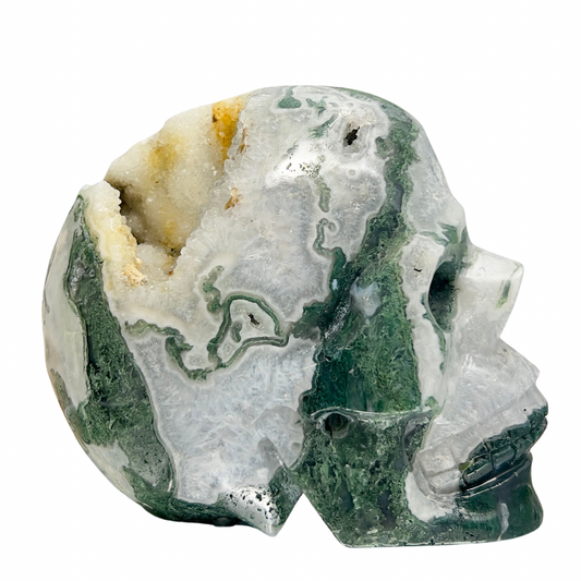Moss Agate Druzy Skull Healing Crystal Carving 1218g