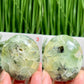 Prehnite with Epidote Palm Stones Worry Crystals YOU CHOOSE