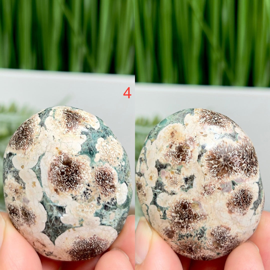 Russian Flower Cherry Blossom Jasper Palm Stone Crystals YOU CHOOSE