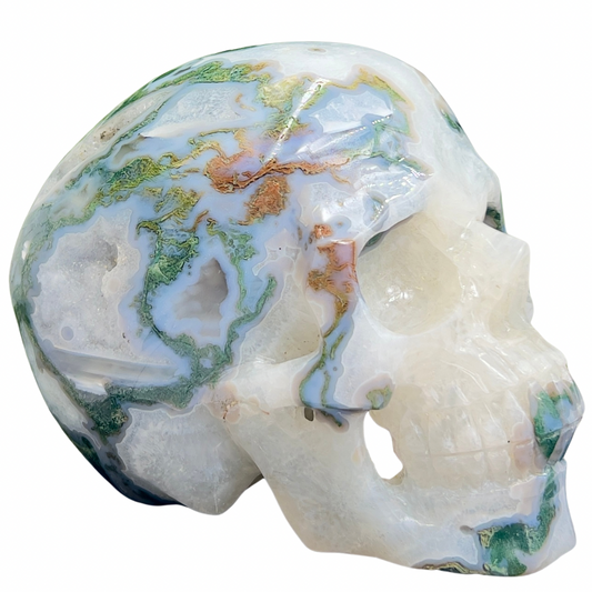 Moss Agate Druzy Hollow Jaw Skull Extra Large Healing Crystal Carving 2982g