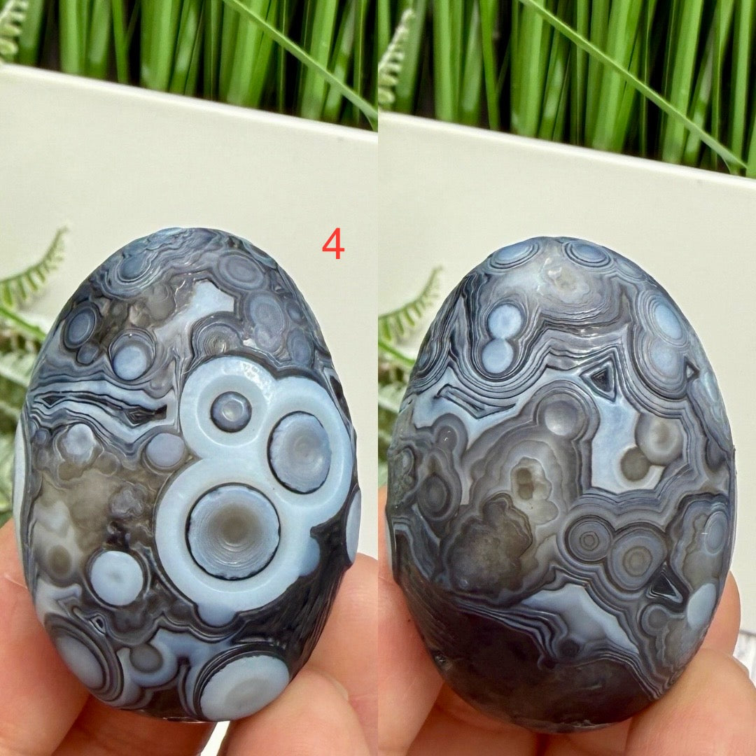 Gobi Desert Agate Palm Stones RARE Meditation Crystals YOU CHOOSE
