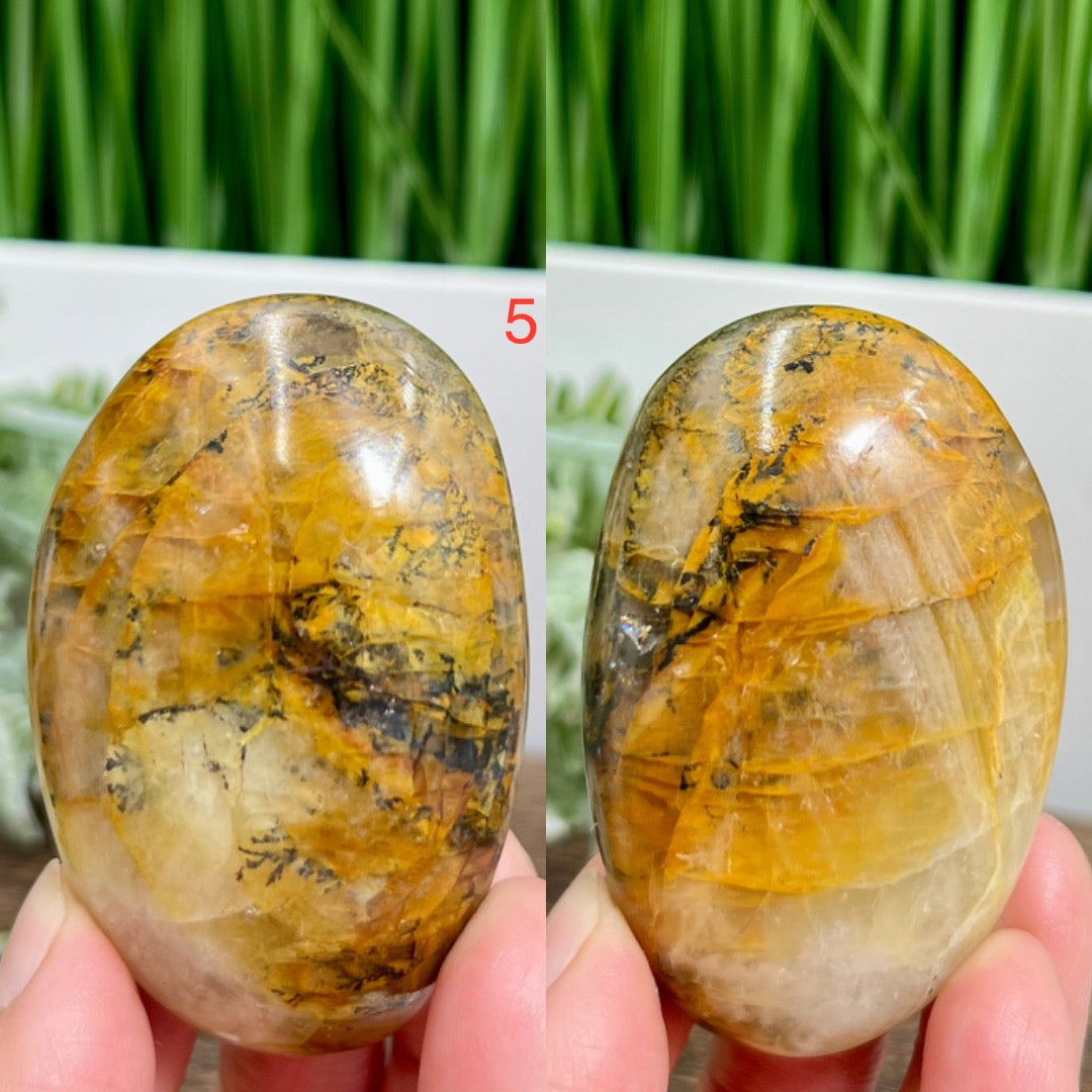 Dendritic Golden Healer Quartz Palm Stones Worry Crystals YOU CHOOSE