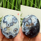Gobi Desert Agate Palm Stones RARE Meditation Crystals YOU CHOOSE