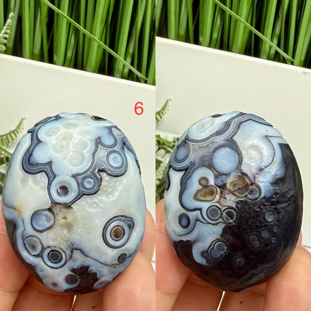 Gobi Desert Agate Palm Stones RARE Meditation Crystals YOU CHOOSE