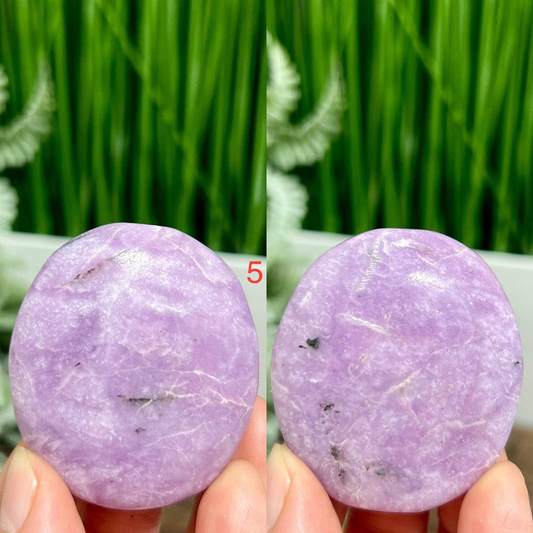 Lepidolite Purple Mica Palm Stones Meditation Crystals YOU CHOOSE