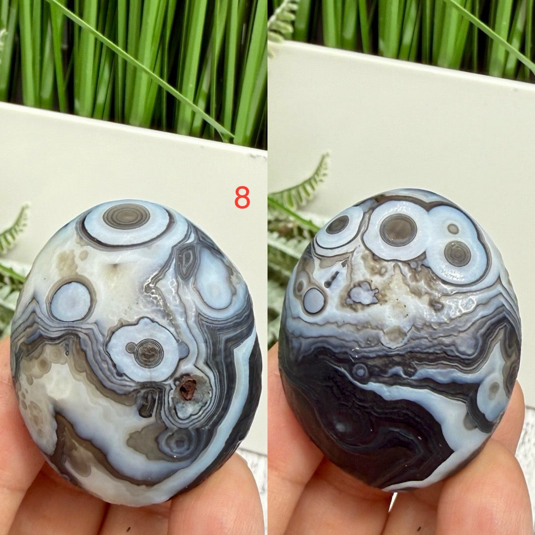 Gobi Desert Agate Palm Stones RARE Meditation Crystals YOU CHOOSE