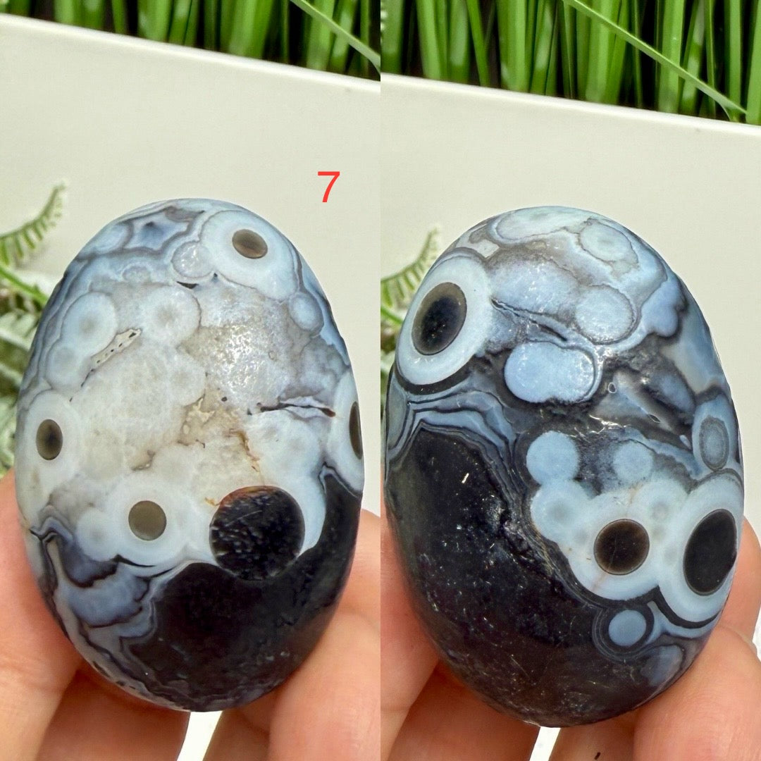 Gobi Desert Agate Palm Stones RARE Meditation Crystals YOU CHOOSE