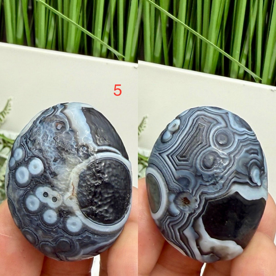 Gobi Desert Agate Palm Stones RARE Meditation Crystals YOU CHOOSE