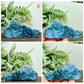 Moss Agate Clouds Self Standing Healing Crystal Carving YOU CHOOSE