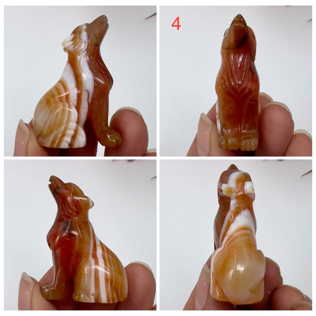 Small Carnelian Wolves Dogs Crystal Carvings YOU CHOOSE