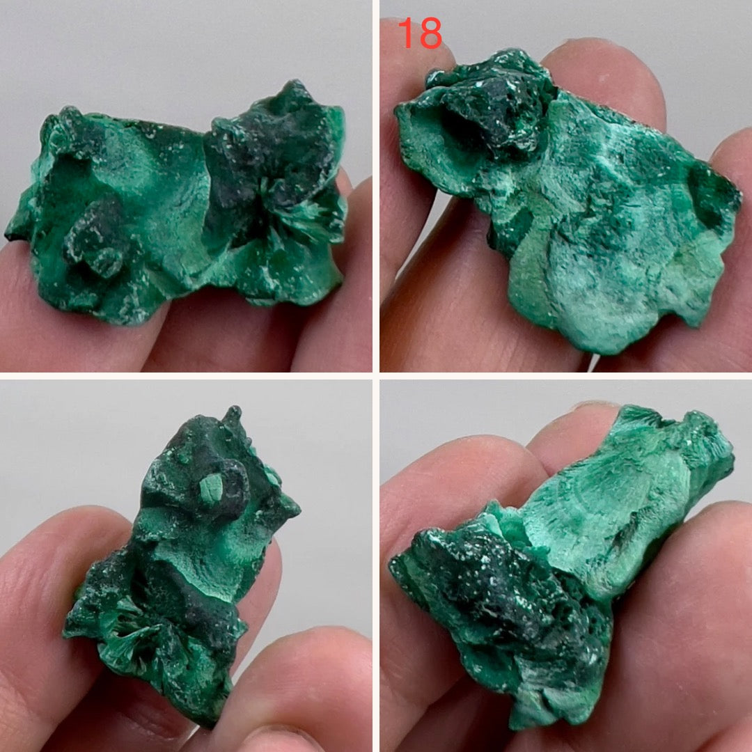 Malachite Specimen Raw Crystal Gemstone YOU CHOOSE