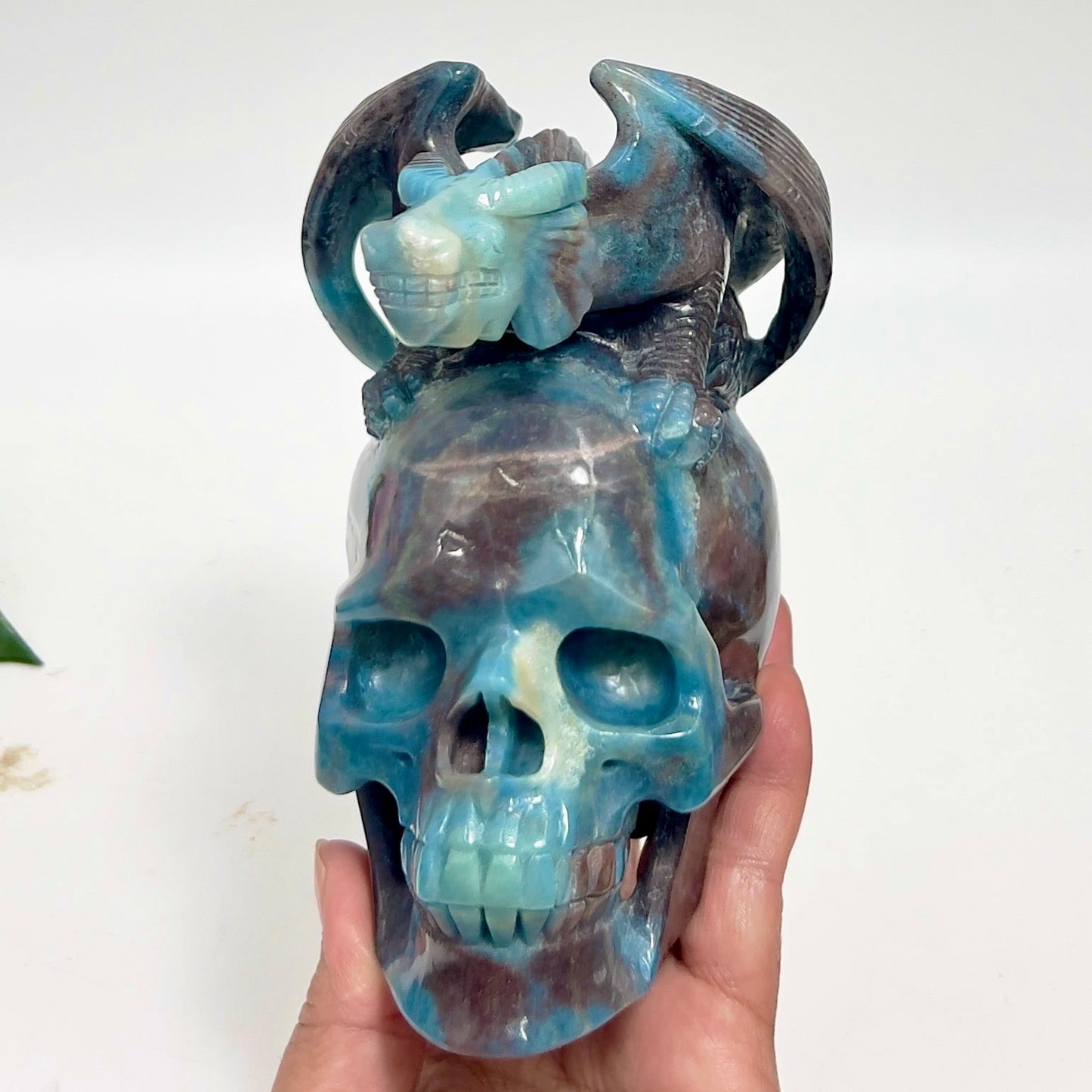 Trolleite Gargoyle on Skull Hollow Jaw Rare Healing Crystal Carving 1564g