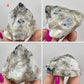 Rainbow Moonstone Natural Raw Crystal Specimen Natural YOU CHOOSE