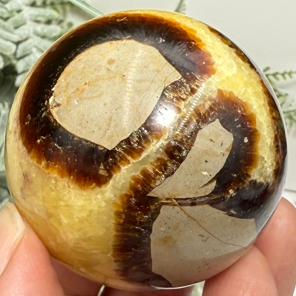 Septarian Jasper Dragon Stone Sphere Healing Crystal Ball 158g 48mm Diameter