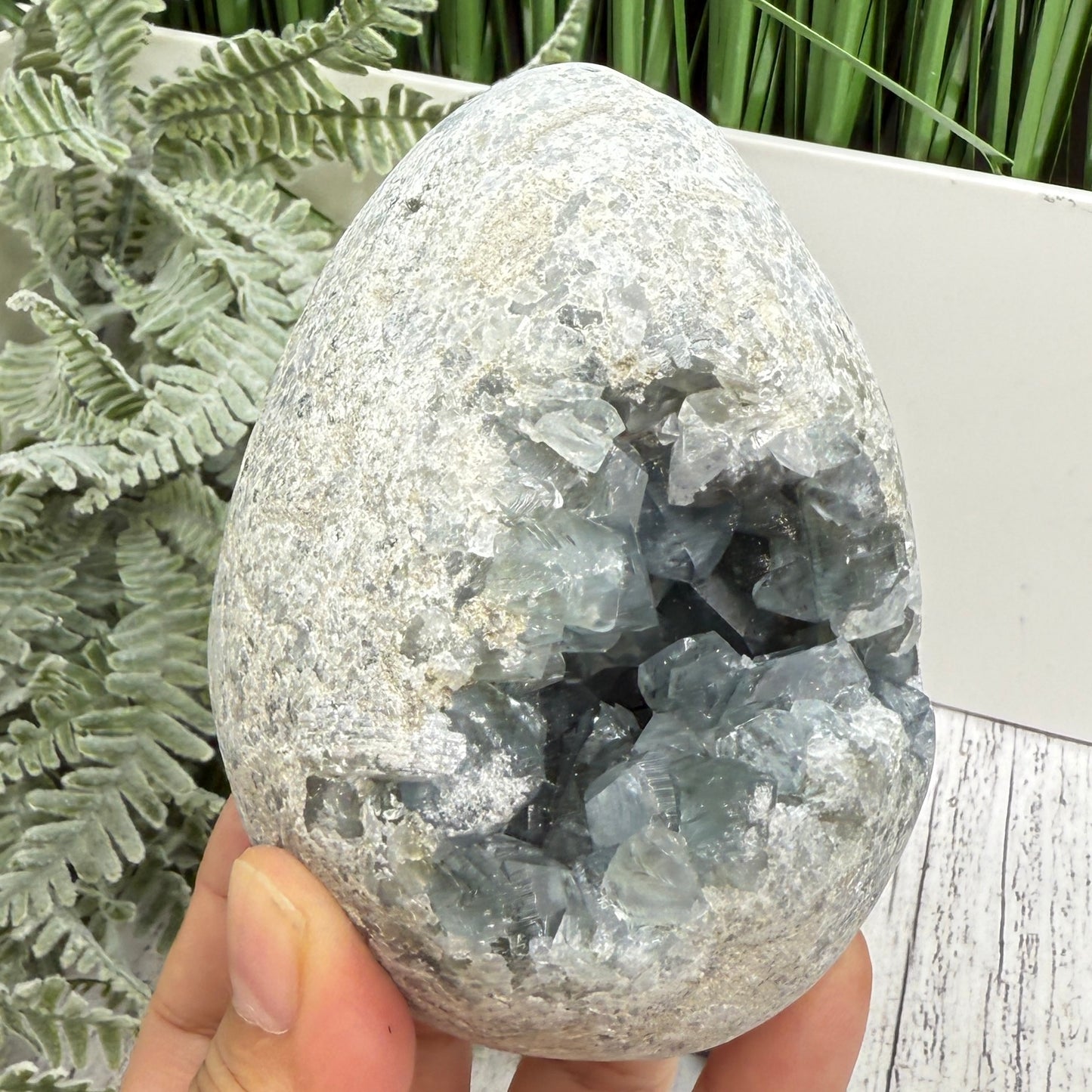 Celestite Celestine Large Egg with Stand Large Geode Cluster Crystal 997g