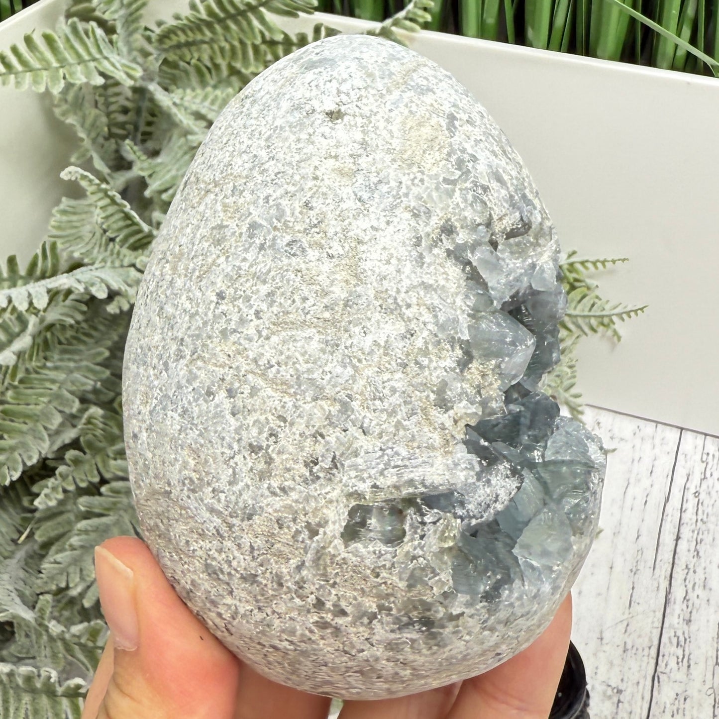 Celestite Celestine Large Egg with Stand Large Geode Cluster Crystal 997g