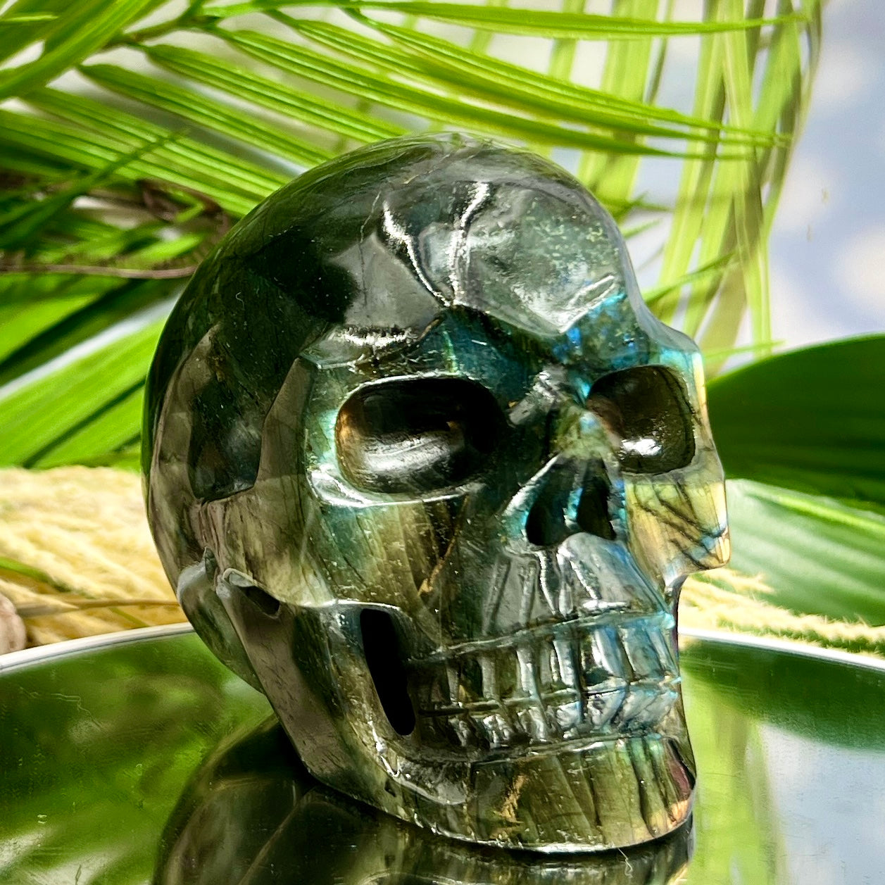 Labradorite Skull Hollow Jaw Healing Crystal Carving 948g
