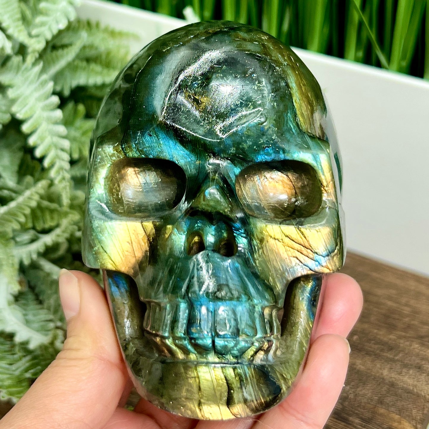Labradorite Skull Hollow Jaw Healing Crystal Carving 948g