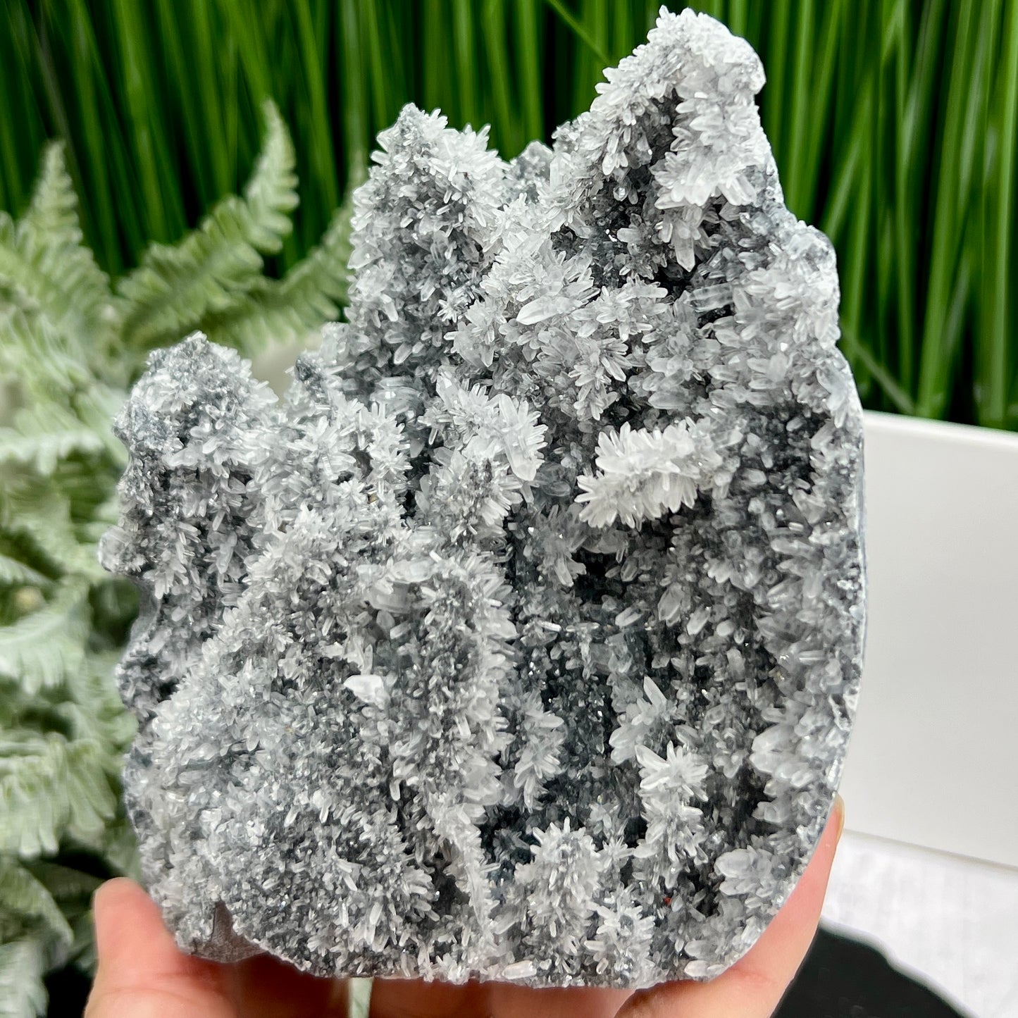 Black Quartz Calcite Skull UV Reactive Large Druzy Crystal 640g