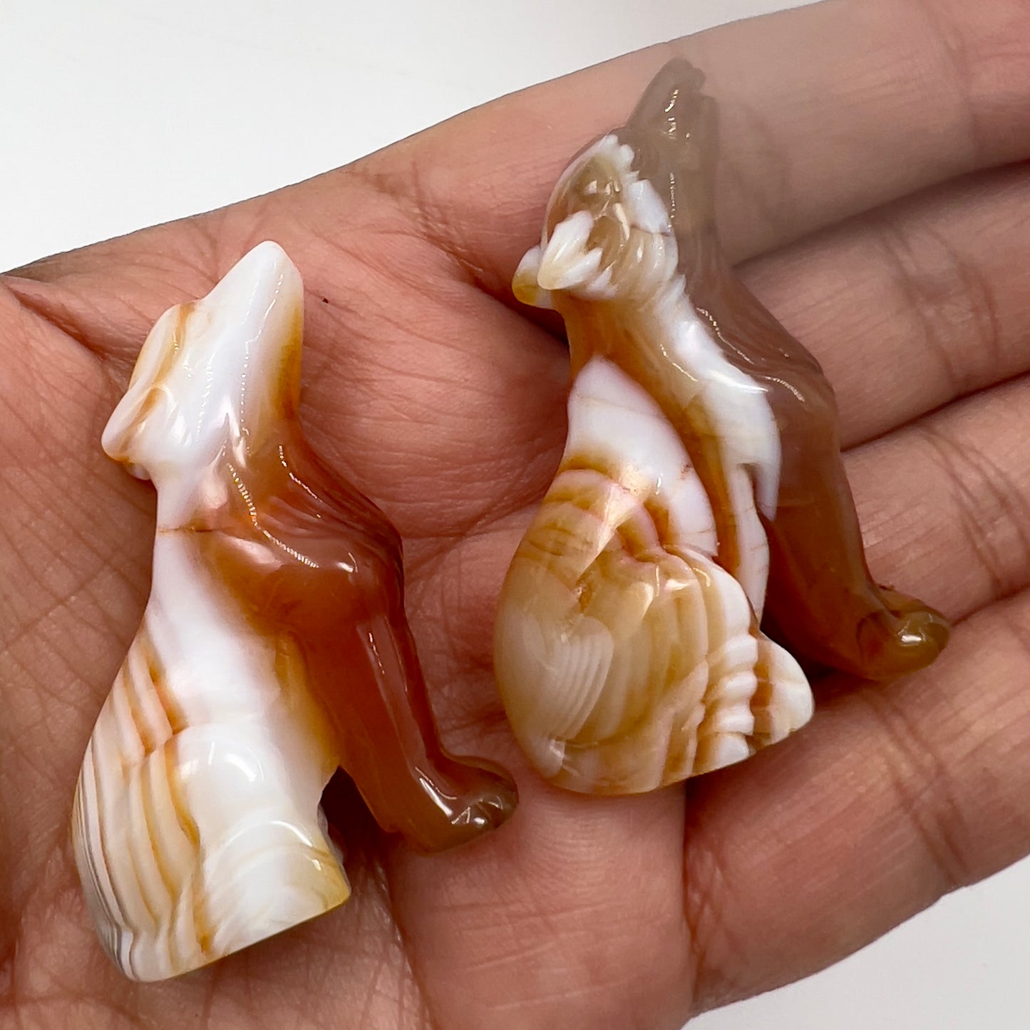 Small Carnelian Wolves Dogs Crystal Carvings YOU CHOOSE
