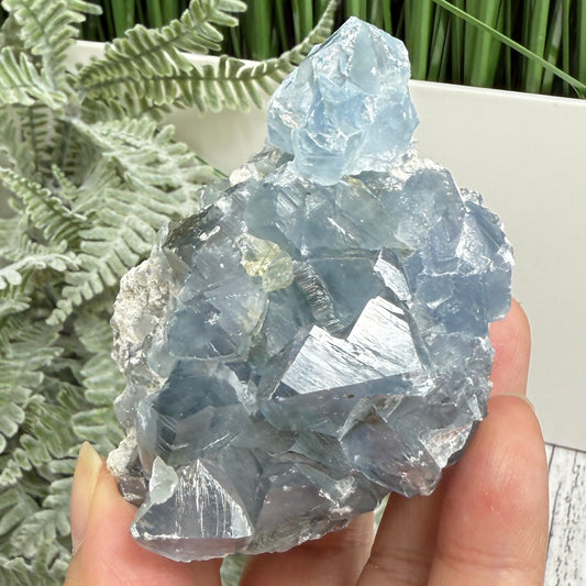 Celestite Celestine Chunk Specimen Geode Cluster Crystal 272g