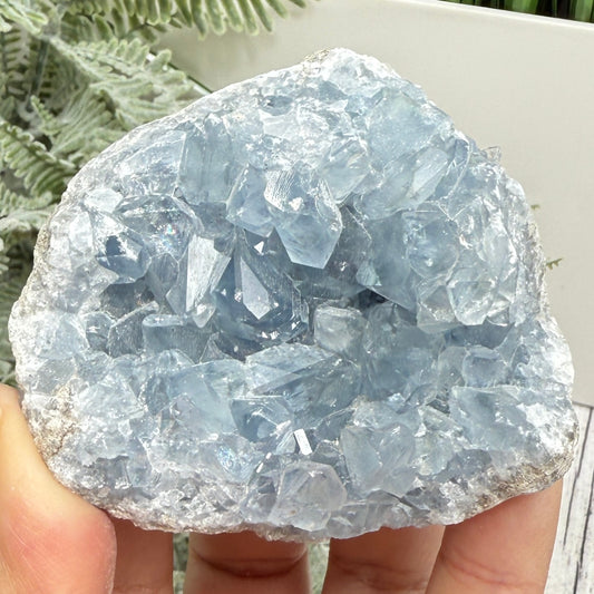 Celestite Celestine Chunk Specimen Geode Cluster Crystal 297g