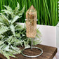 Smoky Quartz Raw Specimens with Stand Generator Natural Crystal 350g 127mm