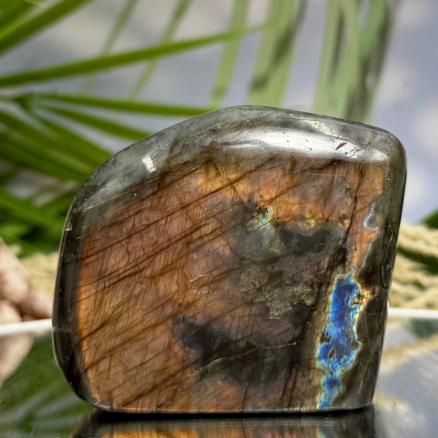 Labradorite Spectrolite Free Form Healing Crystal 203g