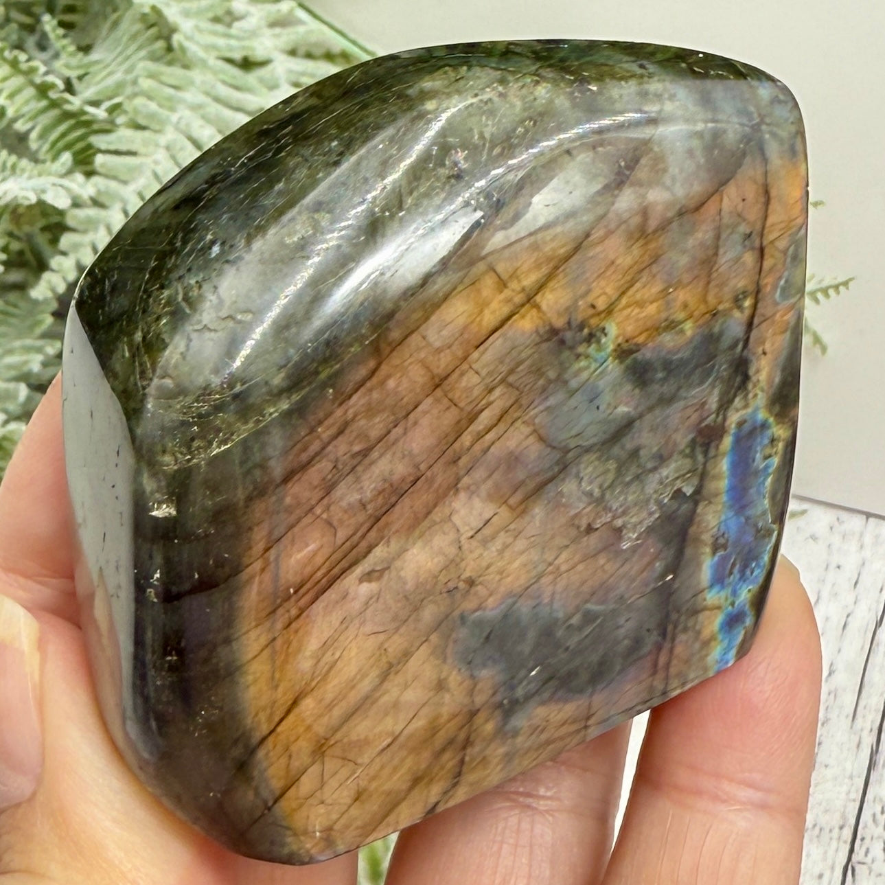Labradorite Spectrolite Free Form Healing Crystal 203g