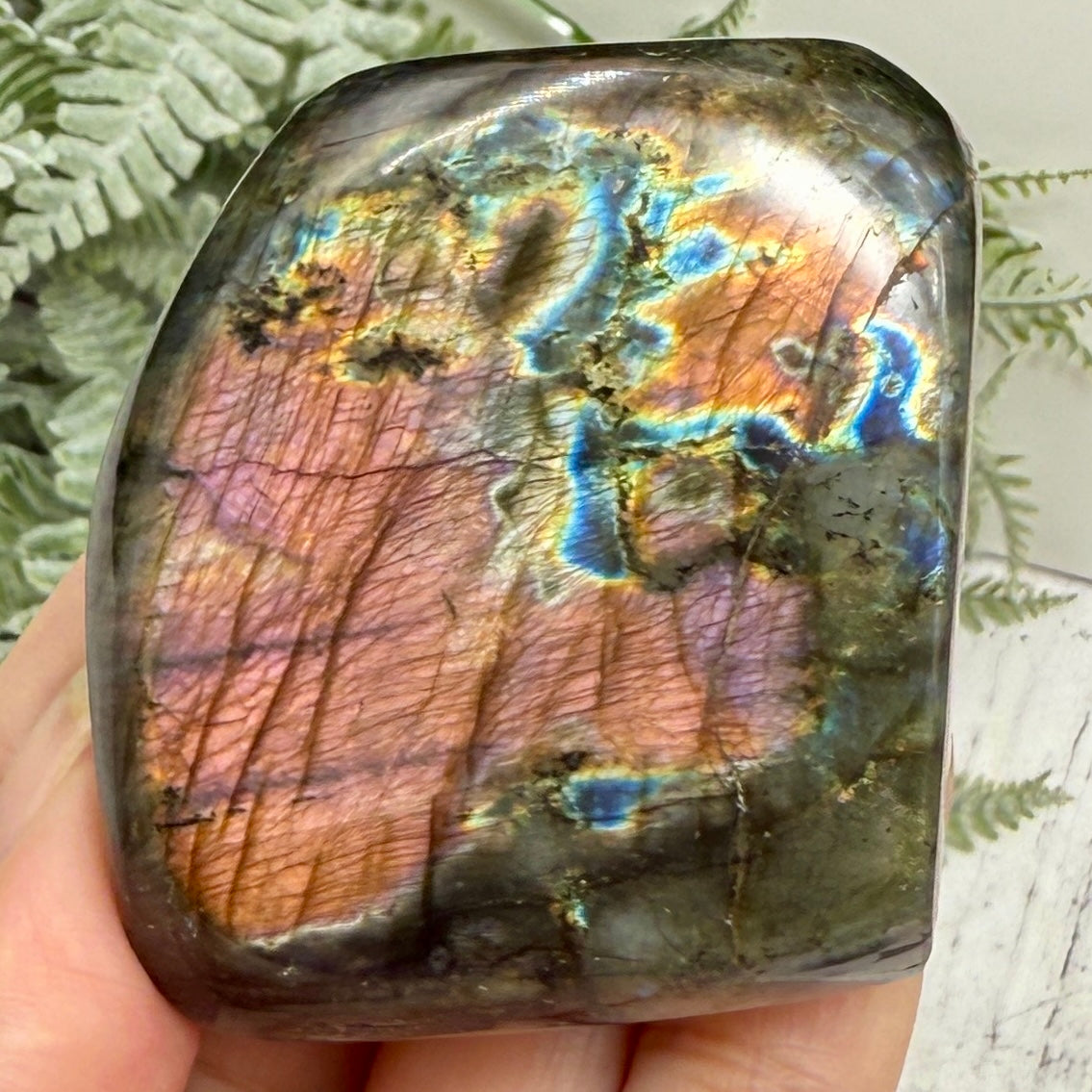 Labradorite Spectrolite Free Form Healing Crystal 203g