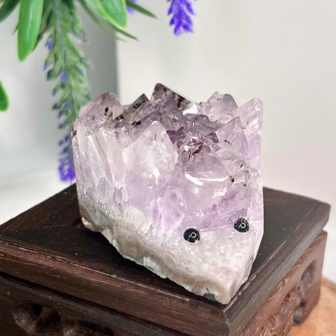 Amethyst Hedgehog Cluster Crystal Animal 228g