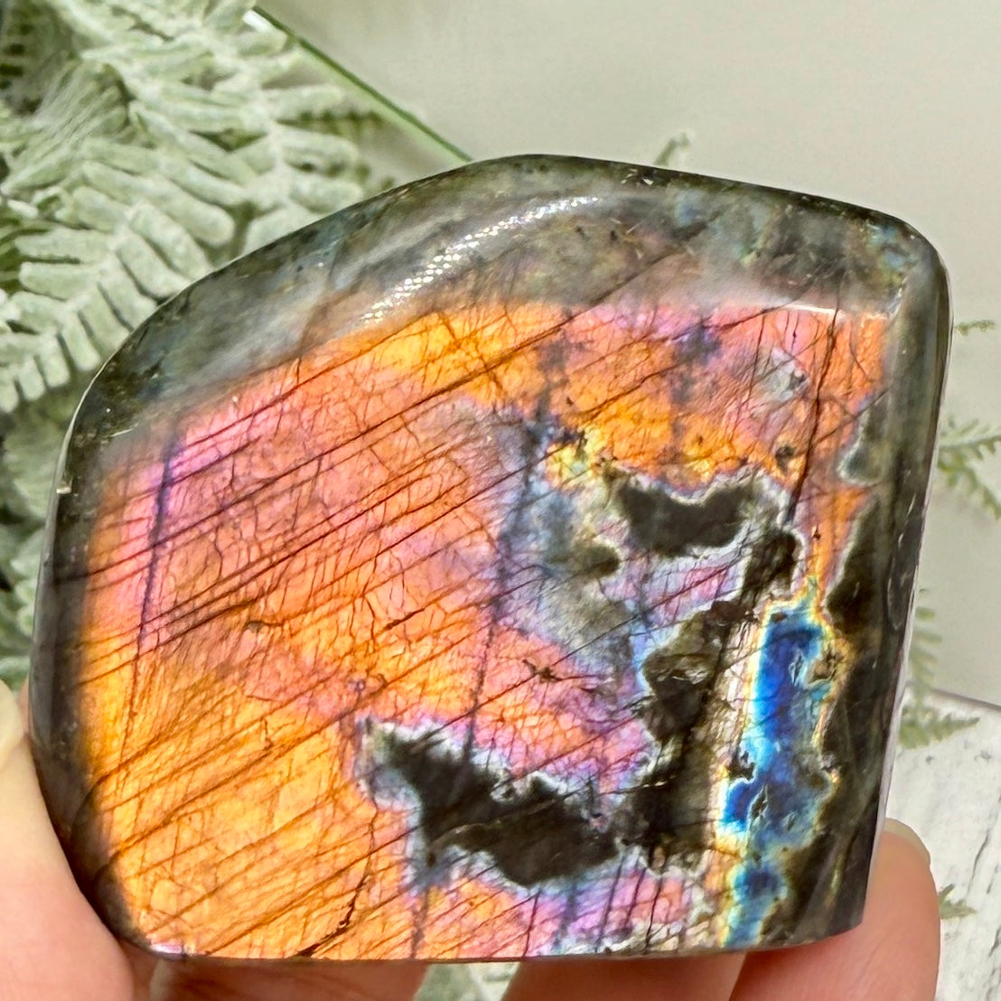 Labradorite Spectrolite Free Form Healing Crystal 203g