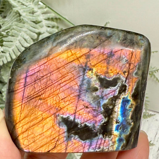 Labradorite Spectrolite Free Form Healing Crystal 203g