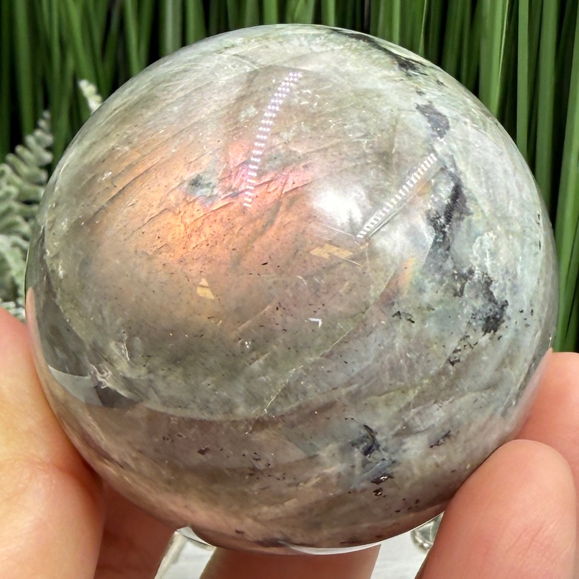 Labradorite Purple Sunset Sphere Healing Crystal Ball Flashy Gemstone 240g 55mm