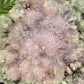 Flower Amethyst Celadonite RARE Cluster High Quality Crystal with Stand 584g