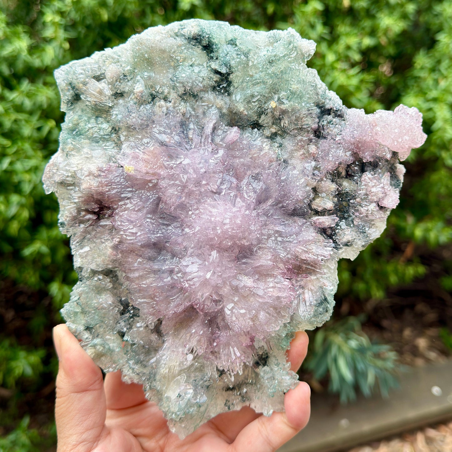 Flower Amethyst Celadonite RARE Cluster High Quality Crystal with Stand 584g